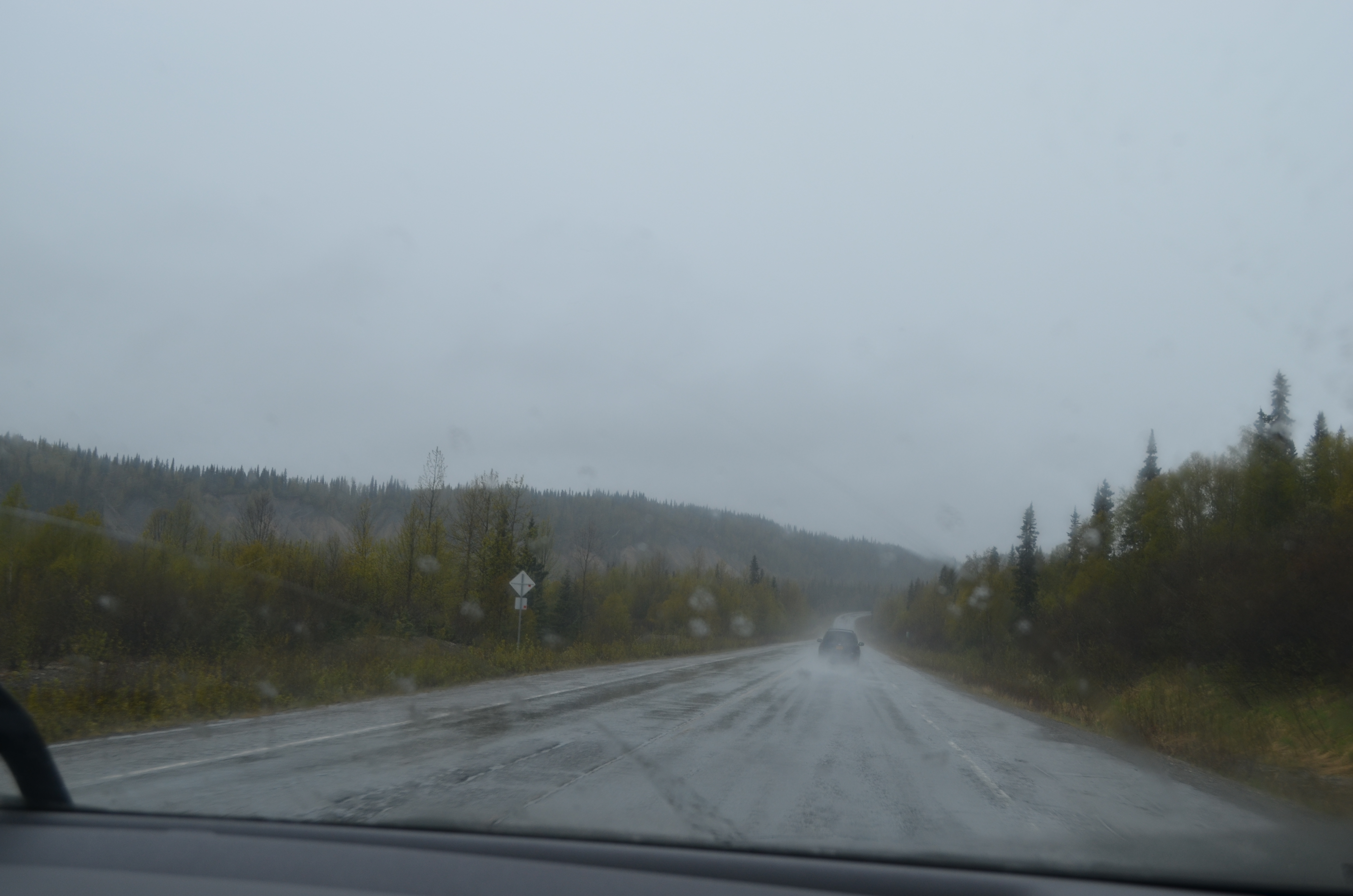 ./2017/08 - Alaska Cruise/03 - Denali/DSC_0086.JPG